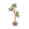 Potted home plant grows in indoor planter. Tall palm tree, houseplant in floor flowerpot. Leaf decor for house interior