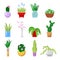 Potted Home Plants Set. Decorative Houseplants