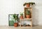 Potted home plants and wooden crates on floor. Idea for interior decor