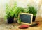 Potted kitchen herb plants, a red shovel and a blank blackboard