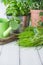 Potted Kitchen Herb Scene