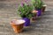 Potted lavender plants in ceramic flower pots on a wooden terrace