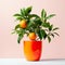 potted orange baby tree, thoughtfully nurtured and isolated against a clean white background.