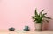 Potted peace lily plant, cup and notebook on wooden table near color wall