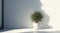Potted Plant Adorning a White Wall: Enhancing Spaces with Natural Beauty.
