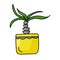Potted plant in bright yellow pot, dracaena or house palm in doodle style