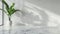 Potted Plant on Marble Counter