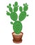 A potted plant is shown. Cactus Opuntia with flat juicy green leafy stems, covered with sharp thorns. Lovely hobby for collectors