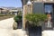 Potted plant on a sidewalk with a store display of a manikin and mountains in the distance