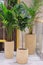 Potted plants adorns the lobby of a large shopping center. Greening of retail spaces