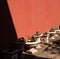 Potted plants in classic baroque pots standing on the ground in front of orange brown painted wall. Warm evening light