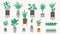 Potted plants collection in a loft style. Set of house indoor plant vector