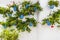 Potted plants and flowers on the streets of Marbella, Malaga Spa