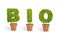 Potted plants forming the word bio