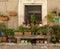 Potted plants by house in Provence