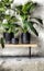 Potted plants for houseplants in modern house watercolor painting wallpaper background