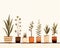 Potted Plants Lined Shelf Illustration Ratio Young Reaching Sky