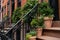 Potted Plants on Stairs Outside the Entrance of an Old Brownstone Home in Greenwich Village of New York City