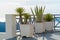 Potted plants in the village of Santorini Oia