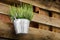 Potted plants wooden background heather metal bucket hanging flowerpot flower shop design