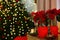 Potted poinsettias, burning candles and festive decor on dresser in room, space for text. Christmas traditional flower
