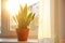 Potted Sansevieria plant on window sill. Space for text