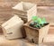 Potted seedling growing in biodegradable peat moss pot