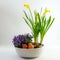 Potted spring flowers and eggs as easter decoration, daffodils a