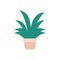 Potted succulent plants flat icon