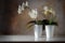 Potted white orchids Phalaenopsis on a shiny sideboard in fron