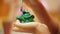 Potter at work. Closeup female hands painting green ceramic frog