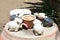 Pottery animal figures in the backyard