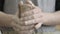 Pottery and ceramic. Adult male sculptor master preparing the clay in hands.