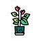 pottery flower house plant color icon vector illustration