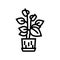 pottery flower house plant line icon vector illustration