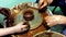 Pottery hands creating an earthen jar on a spin wheel