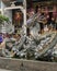 Pottery sculpture of dragon, carp and turtle in a fountain in the Cantonese Assembly Hall in Hoi An.