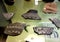 Pottery Shards Artifacts from Lake Neuchatel Switzerland