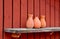 Pottery vases on shelf.