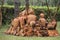 Pottery in Vietnamese garden