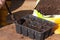 Potting soil in small plastic plant trays