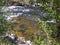 Poudre Canyon, Colorado river view