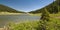 Poudre Lake and Pine Trees Colorado