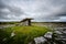 Poulnabrone dolmen also called Hole of Sorrows in Clare