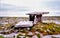 Poulnabrone Dolmen, County Clare, Ireland