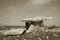 Poulnabrone tomb