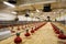 Poultry farm