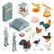 Poultry Farm Isometric Icons