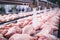 Poultry farm for the production of chicken meat. Industrial production and packaging of chicken meat. Chicken fillet and