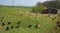 Poultry farming in Brueil en Vexin